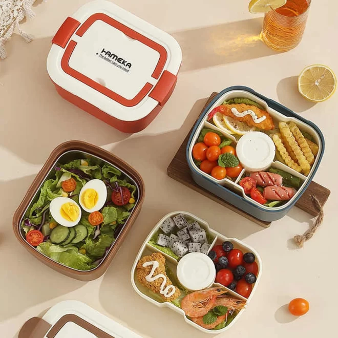 Double-Layer Bento Boxes Wholesale, Custom Plastic Lunch Box-3